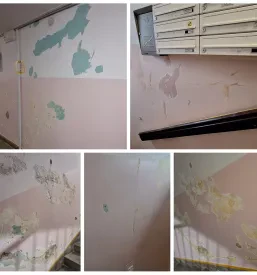 Dekorative Wandmalerei Österreich