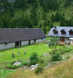 Pridelava mesa, soka Koprivnica, Krško