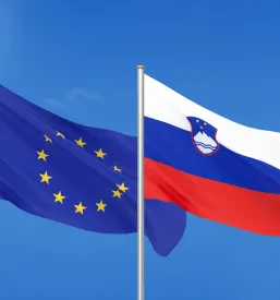 MNZ Slovenija