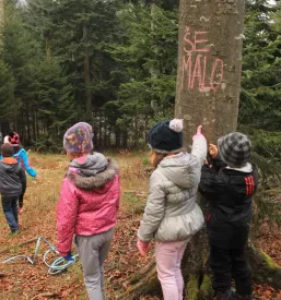Športni dogodki na Štajerskem