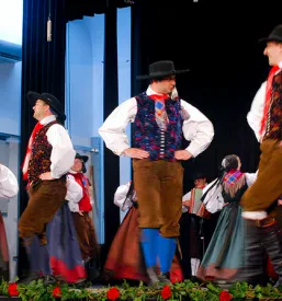 Kulturno umetniški dogodki in prireditve Brežice