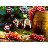 Društvo vinogradnikov Strehovci