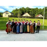 Folklorno društvo Rožmarin Dolena