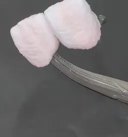 Zobotehnični laboratorij Postojna