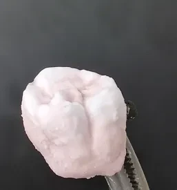 Zobotehnični laboratorij v Postojni
