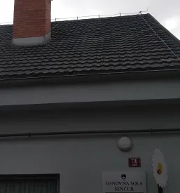 Čiščenje streh