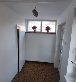 Slikopleskarska dela
