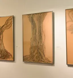 Galerija