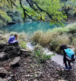 Aktivnosti za otroke v naravi