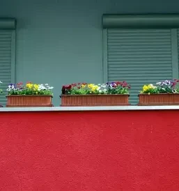 Ugodno balkonsko cvetje Kranj