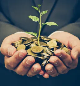 Online tečaj o investiranju