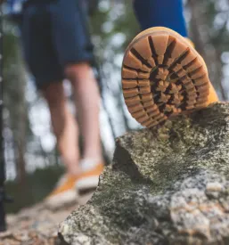 Planinsko društvo Dobrovlje Braslovče