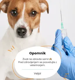 Zdravljenje psov Osrednja Slovenija