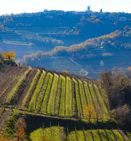 Ugodna vinogradniška oprema