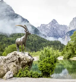 Najboljši apartmaji v Kranjski Gori