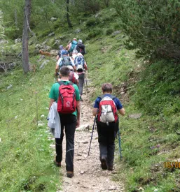 Športno plezanje