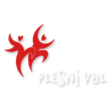 Plesni val, d.o.o.