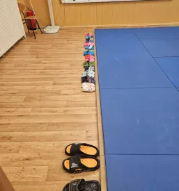 Vpis na judo Jesenice