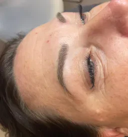 Powder brows Slovenia, Croatia and Austria