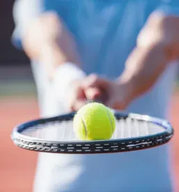 Tenis igrišče Gorenjska