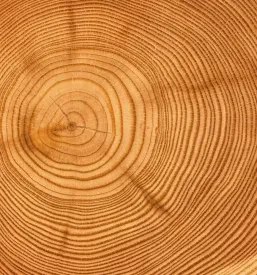 Mit unserem Großhandel für Baumaterialien und Brennholz bieten wir Österreich hohe Qualität