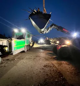 Ugodna prodaja in odkup žaganega lesa Slovenija
