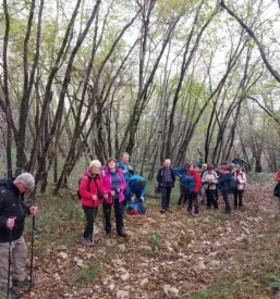 Planinsko društvo v Rušah