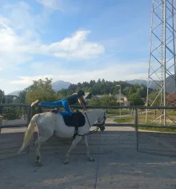 Kvalitetna šola jahanja Radovljica