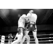 ŠD Muay thai gym Gladiator