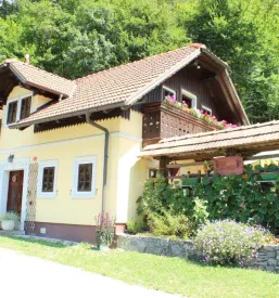 Ugodni apartmaji na samem