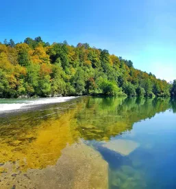 Domačija Kuzma