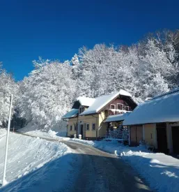 Družinski apartmaji