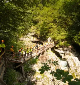 Počitniško varstvo za otroke Maribor