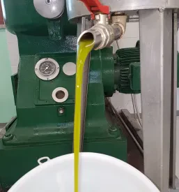 Olio d'oliva di qualità Slovenia