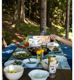 Najem lesene glamping hiške Gorenjska