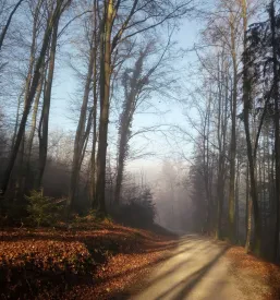 Turistično društvo Tabor - Št. Jurij