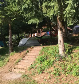 Vpis v društvo tabornikov Nazarje, Savinjska dolina