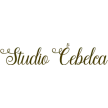 Studio Čebelca