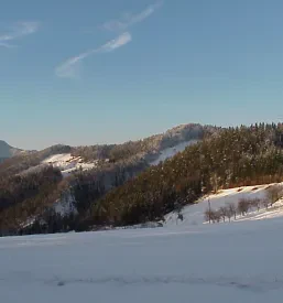 Lov na divjad Velenje