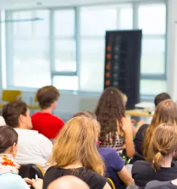 Organizacija kulturnih prireditev Socka, Vojnik
