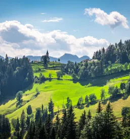 Ugoden apartma Gorenjska