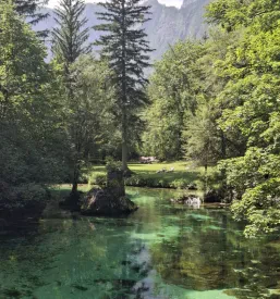 Obisk planinske koče Bohinj, Bohinjsko jezero