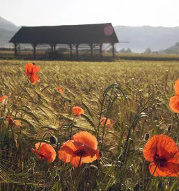 The best tourist places to visit in Slovenia