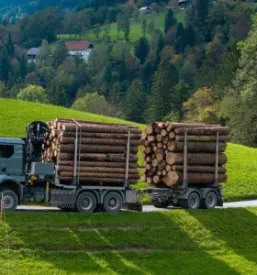 Obdelava, odkup in prodaja hlodovine Savinjska