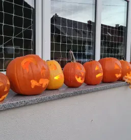 Kulturno društvo Proga 13