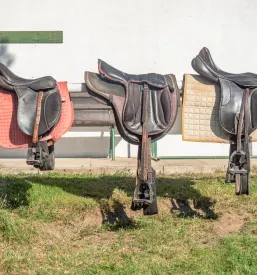 Konjeniško društvo Češnjice Mokronog- Trebelno