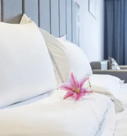 Dober apartma Gradac, Metlika