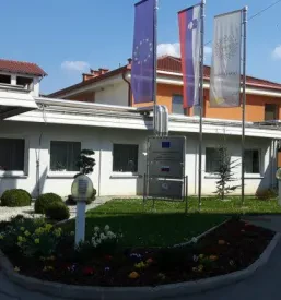 Institucionalno varstvo za Pomurje