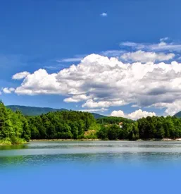 Nakup ribolovnih dovolilnic Celje