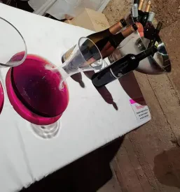 Degustacije vin Goriška Brda